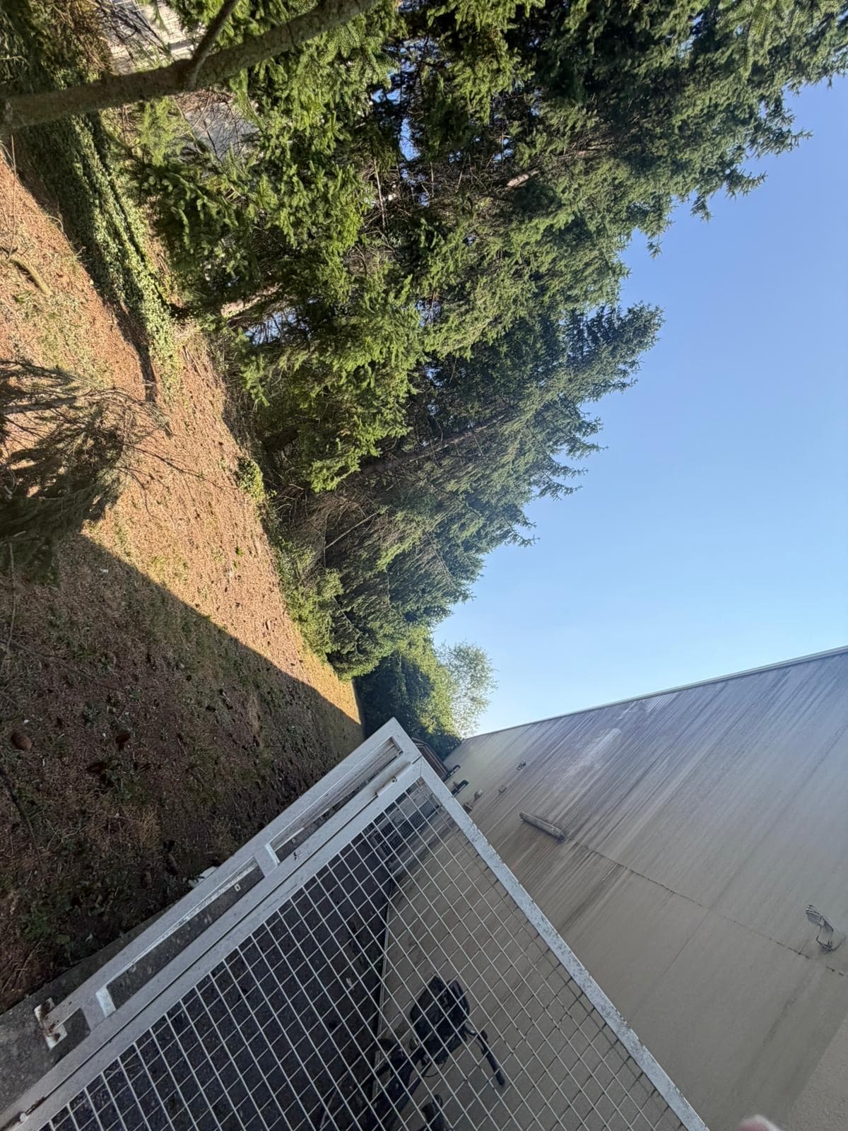 Chantier JM Élagage Passy — réalisation 6