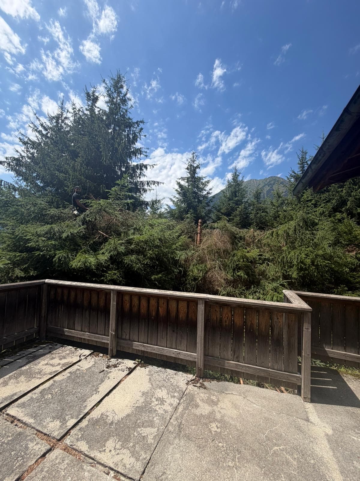 Chantier JM Élagage Passy — réalisation 5
